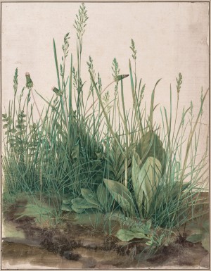 The Large Piece of Turf